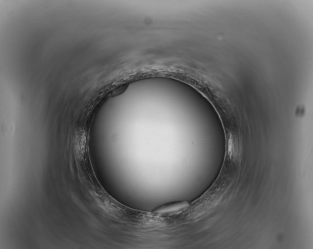 X0000099321492200805091029