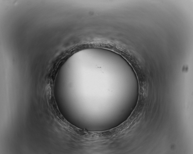 X0000099321493200805091029