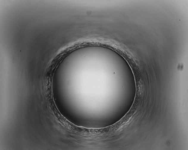 X0000099321494200805091029