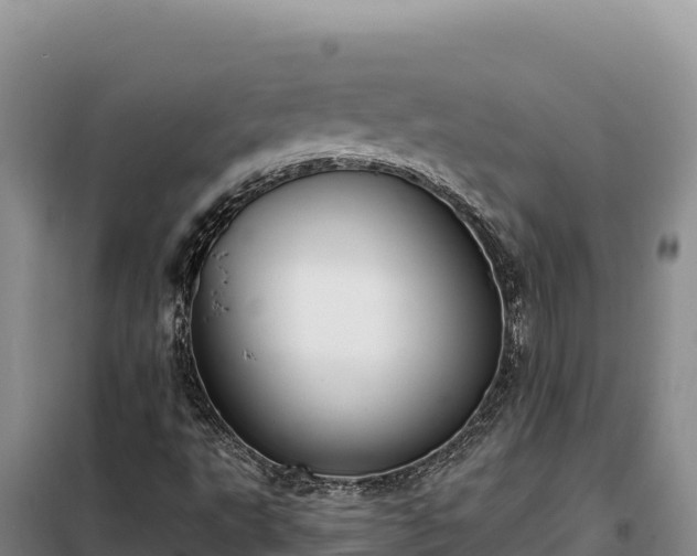 X0000099321495200805091029