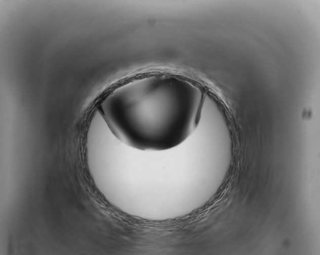 X0000099321496200805091029