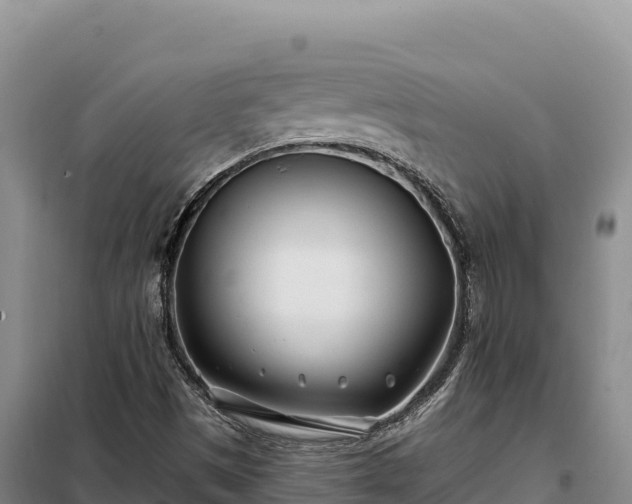 X0000099321497200805091029