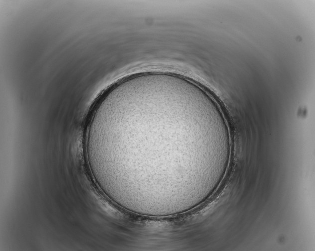 X0000099321498200805091029