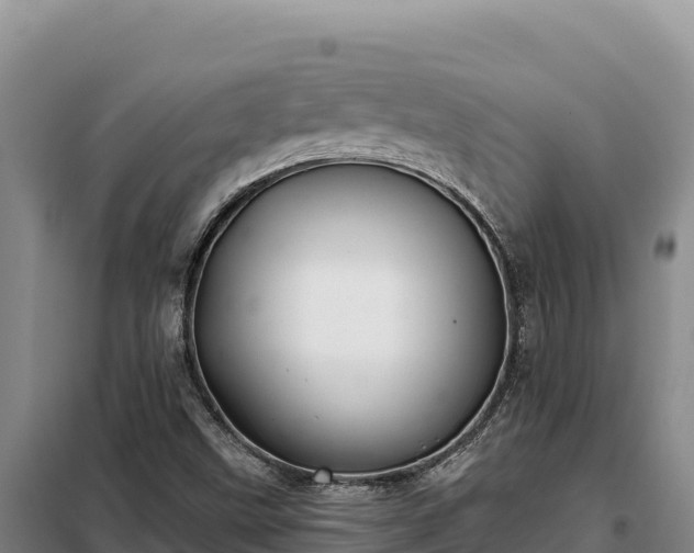 X0000099321499200805091029