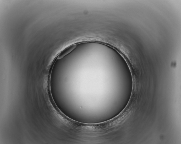 X0000099321500200805091029