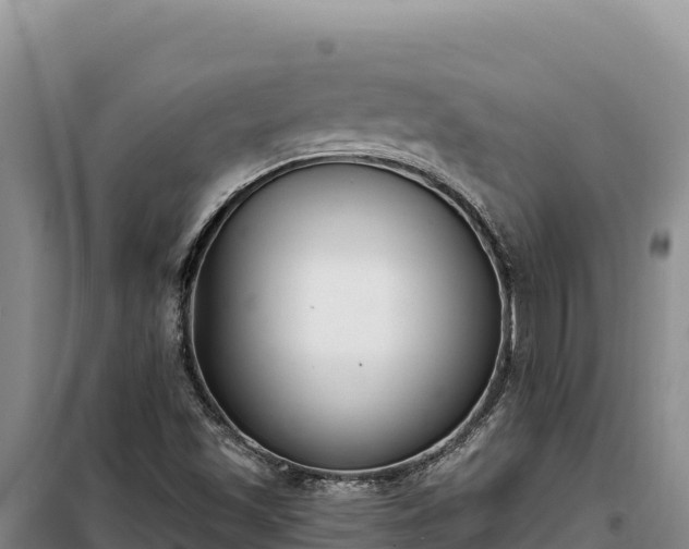 X0000099321501200805091029