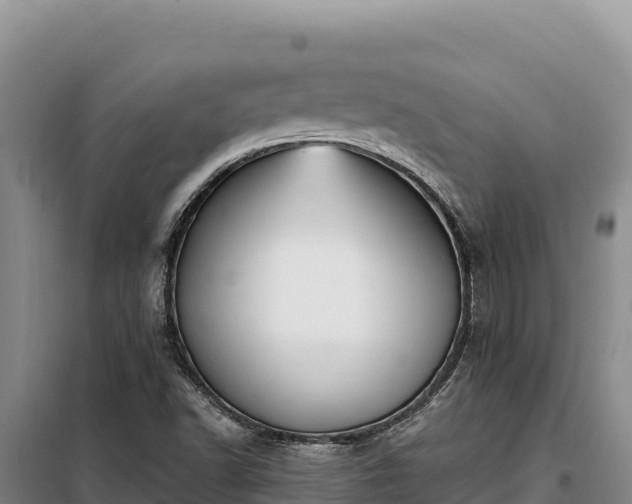 X0000099321502200805091029