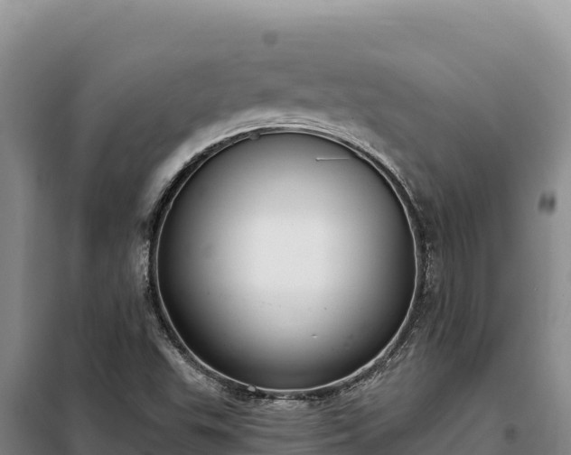 X0000099321503200805091029