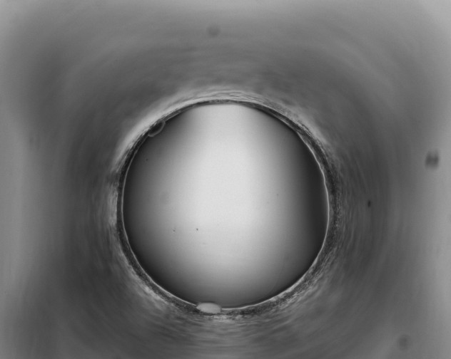 X0000099321504200805091029