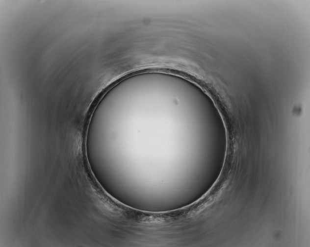 X0000099321505200805091029