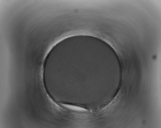 X0000099321508200805091029