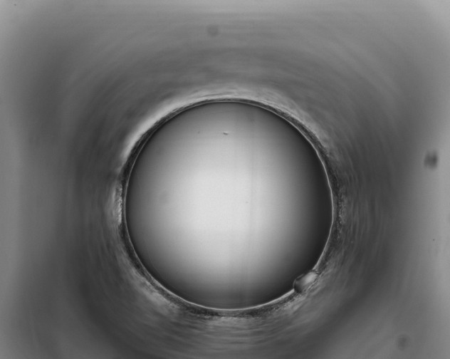 X0000099321510200805091029