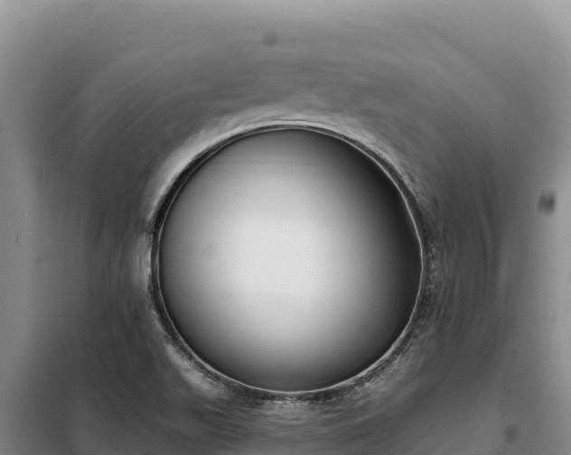 X0000099321511200805091029