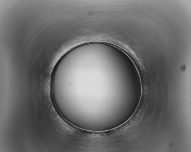 X0000099321512200805091029