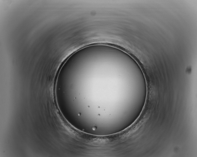 X0000099321513200805091029