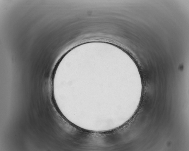 X0000099321514200805091029