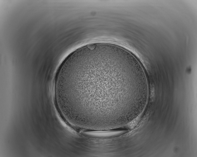 X0000099321515200805091029