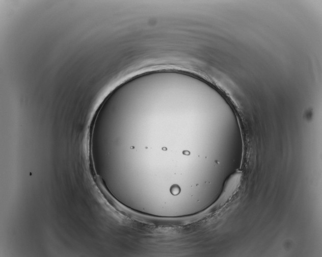 X0000099321516200805091029