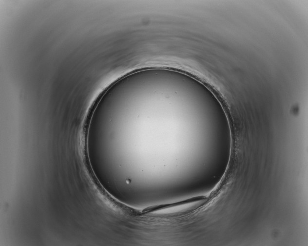 X0000099321517200805091029