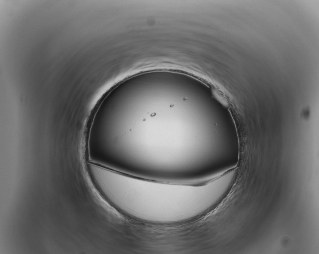 X0000099321518200805091029