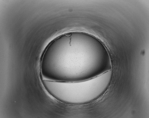 X0000099321519200805091030