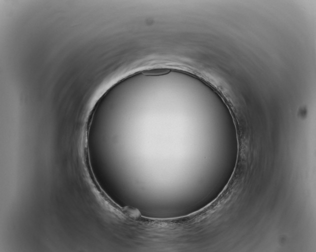 X0000099321520200805091030