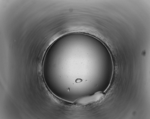 X0000099321521200805091030