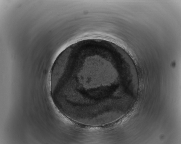 X0000099321522200805091030