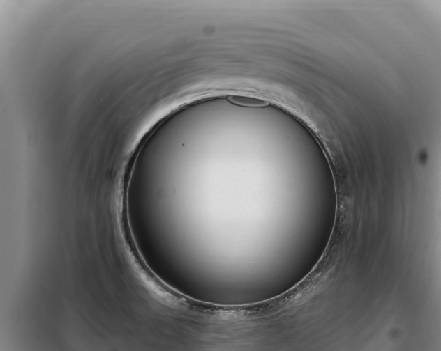 X0000099321523200805091030