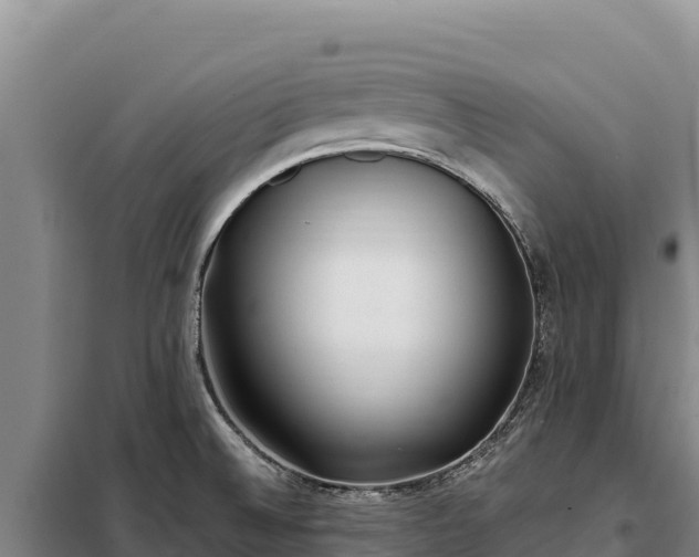 X0000099321524200805091030