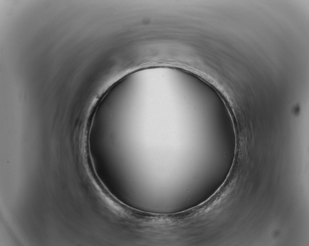 X0000099321525200805091030