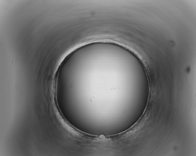 X0000099321526200805091030