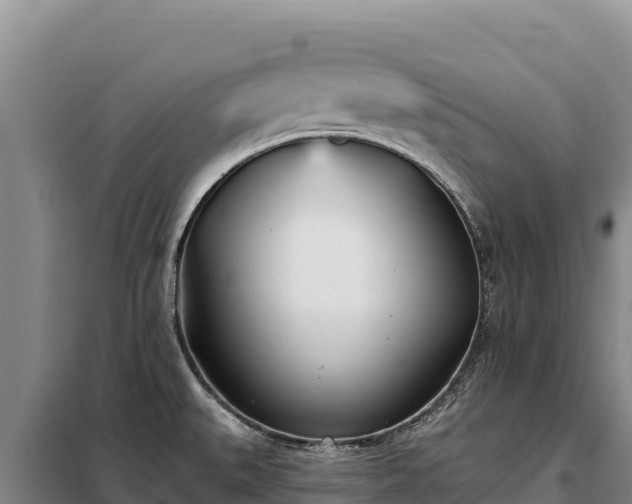 X0000099321527200805091030