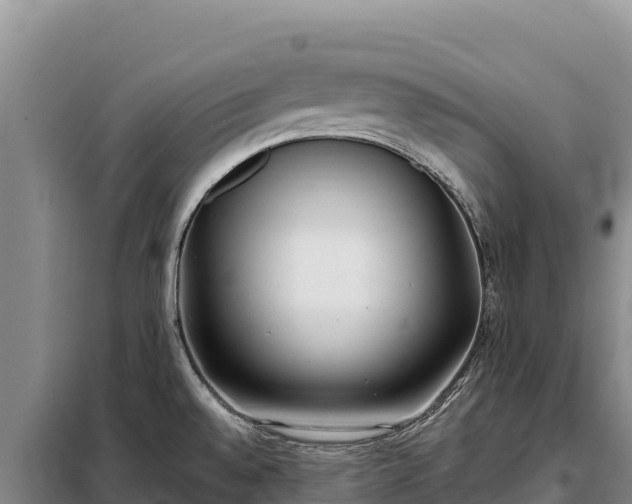 X0000099321528200805091030