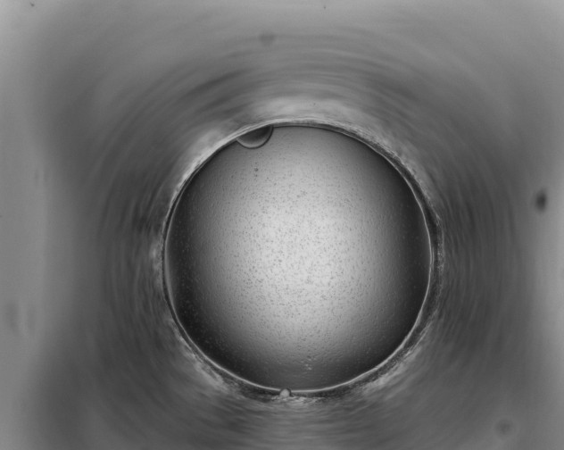 X0000099321529200805091030