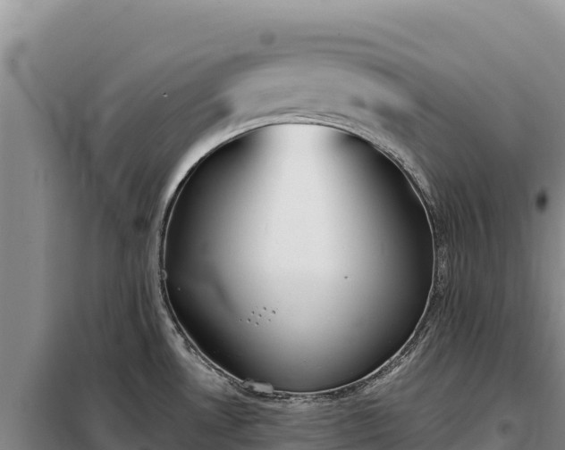 X0000099321530200805091030