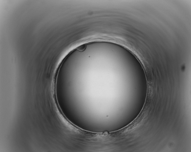 X0000099321531200805091030