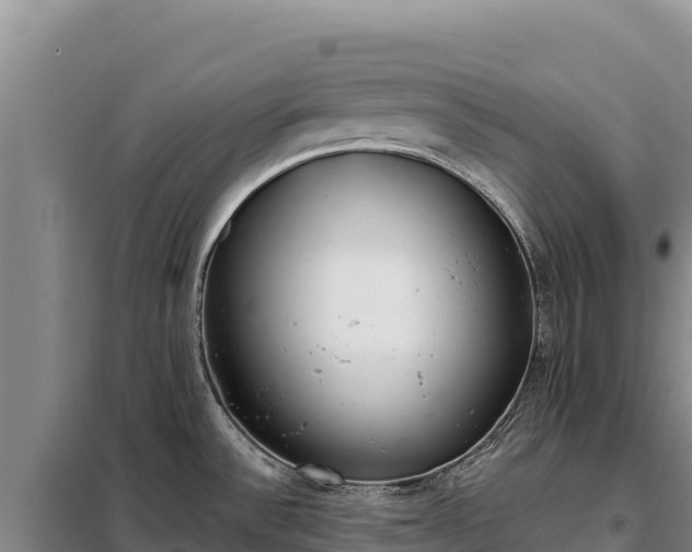 X0000099321532200805091030