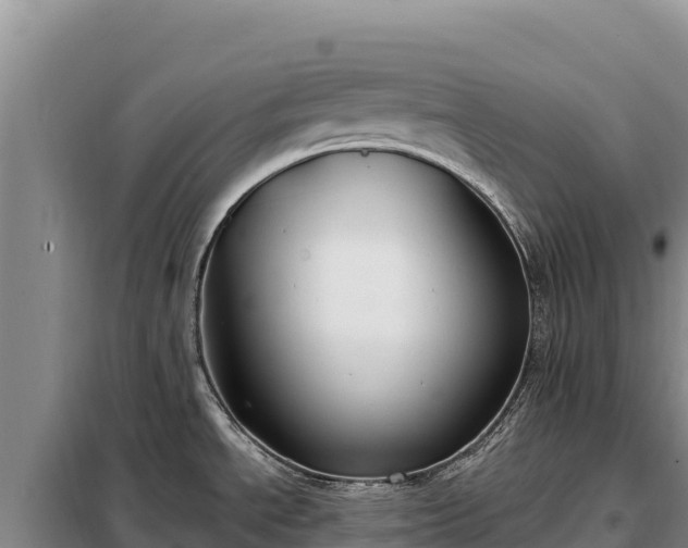 X0000099321534200805091030