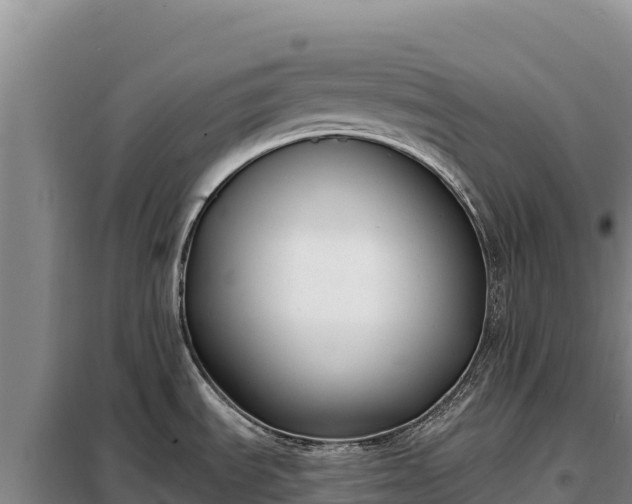 X0000099321535200805091030