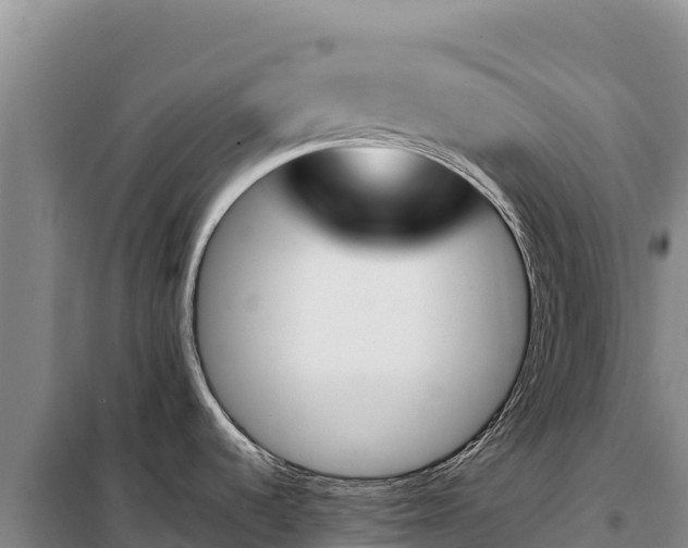 X0000099321536200805091030