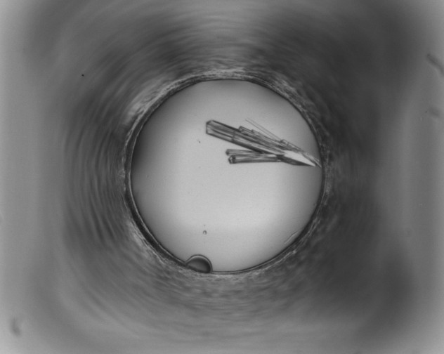 X0000099320002200805161411