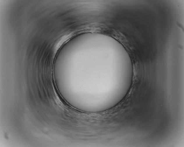 X0000099320003200805161411