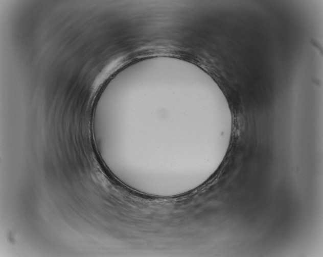 X0000099320004200805161411