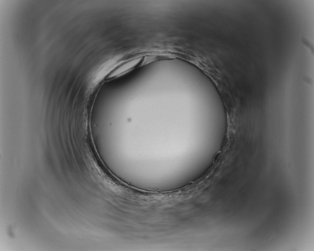 X0000099320005200805161411