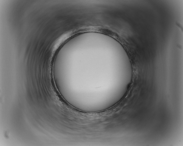 X0000099320006200805161411