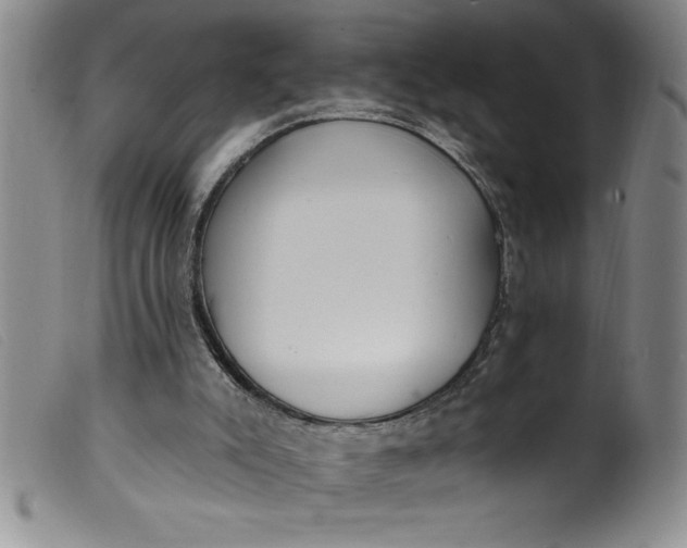 X0000099320007200805161411