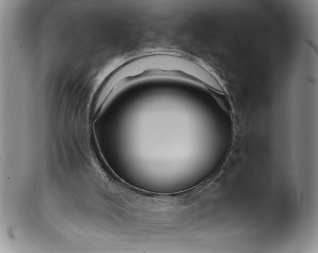 X0000099320008200805161411