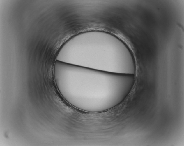 X0000099320009200805161411