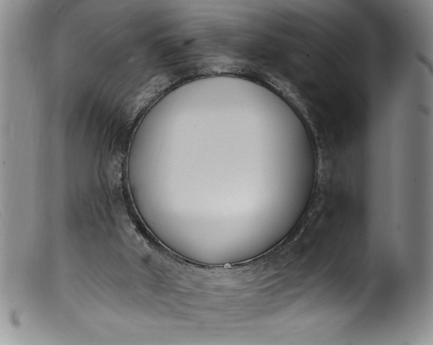 X0000099320010200805161411